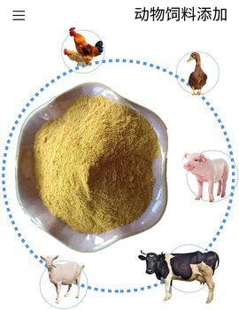玉米醇溶蛋白60猪牛羊动物浓缩配合饲料添加剂山东